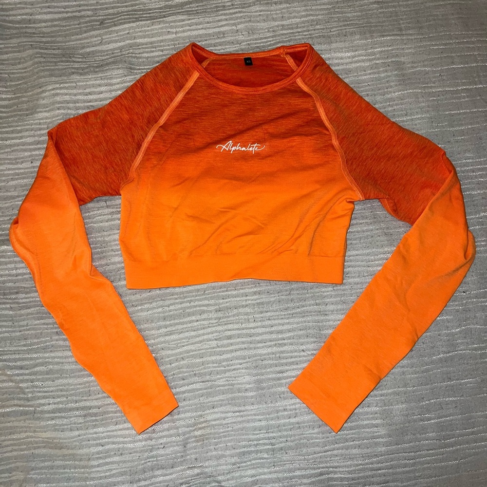 Alphalete Ombré Seamless Crop